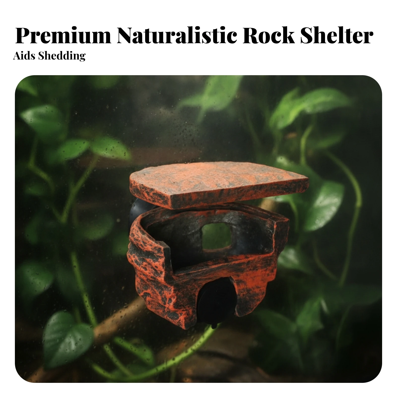 terrarium-grotte-texturee-pour-reptiles-avec-couvercle-amovible-et-ventouse-grotte-pour-reptiles-peu-encombrante-pour-les-geckos-terrarium