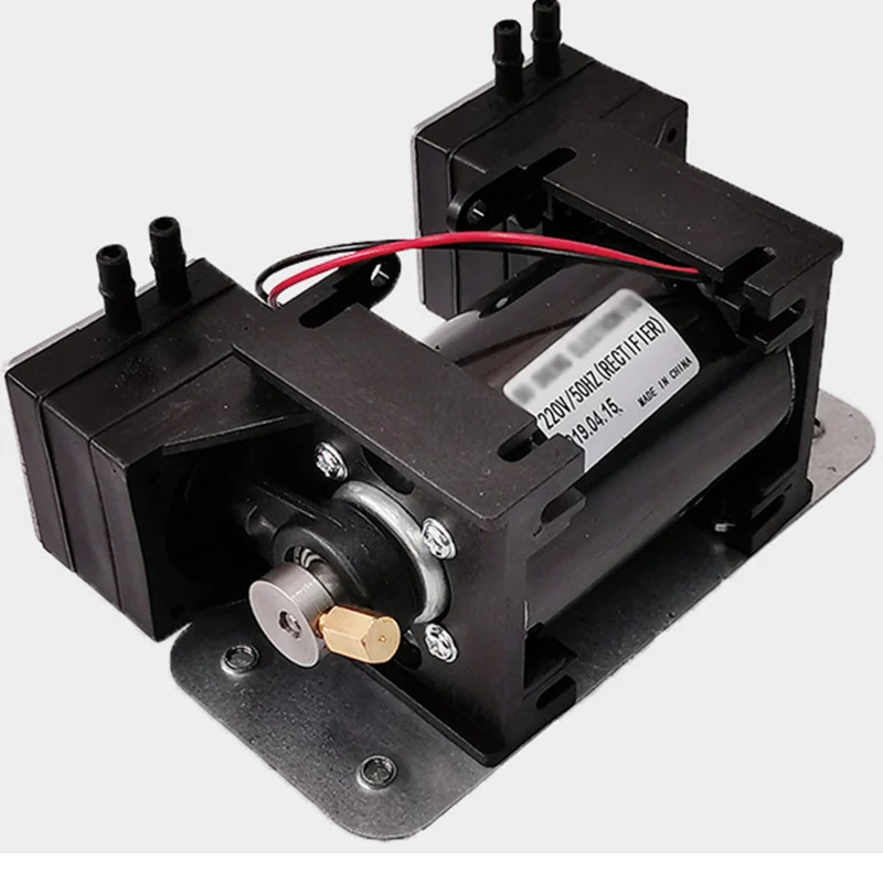 High Positive Negative Pressure Vacuum Pump Large Beauty Instrument Mute Double Head Diaphragm Pump Micro Air Pump 12V/220V