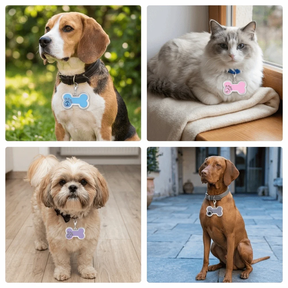 Multi Colors Pet ID Tag Paw Print Pattern Light Weight Dog Name Tag Bone Shape Metal Craft Pet Hanging Pendant