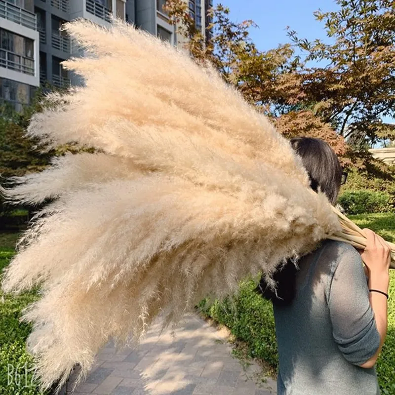 

80cm Large Pampas Grass Natural Dried Flowers Bouquet for Wedding Christmas Decoration Fluffy Phragmites Boho Live Home 80cm La