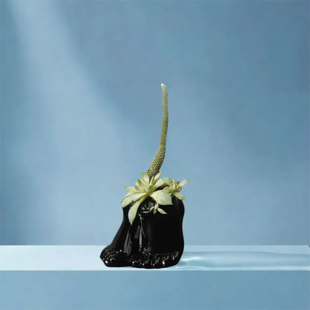 

Ceramic Feet Shape Flower Pot Decorative Funny Hydroponic Flower Holder Plant Pot Flower Arrangement Container Living Room