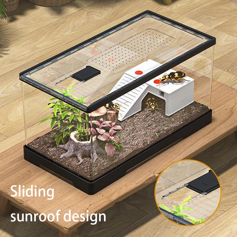 Reptile Reptile Acrylic Feeding Box Household Transparent Lizard Spider Snake Display Tank Reptile Large Breeding Habitat view 4