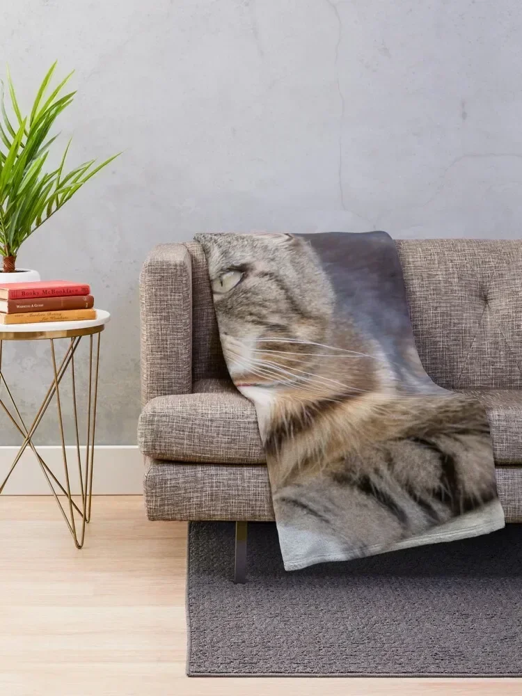 Grumpy Tabby Throw Blanket