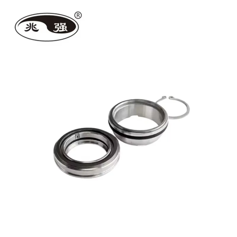 High-Performance WCCR Mechanical Seal for Pump Model 4460.010