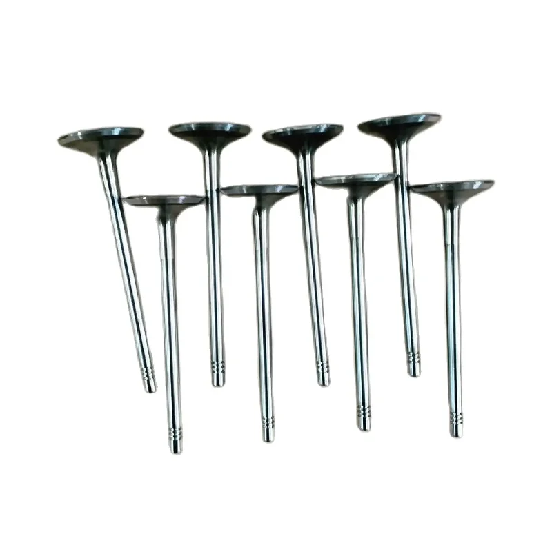 

Original Car Parts Oe Number 1003202gd190 For Jac Pick Up T8 T6 Intake Valve High Quality