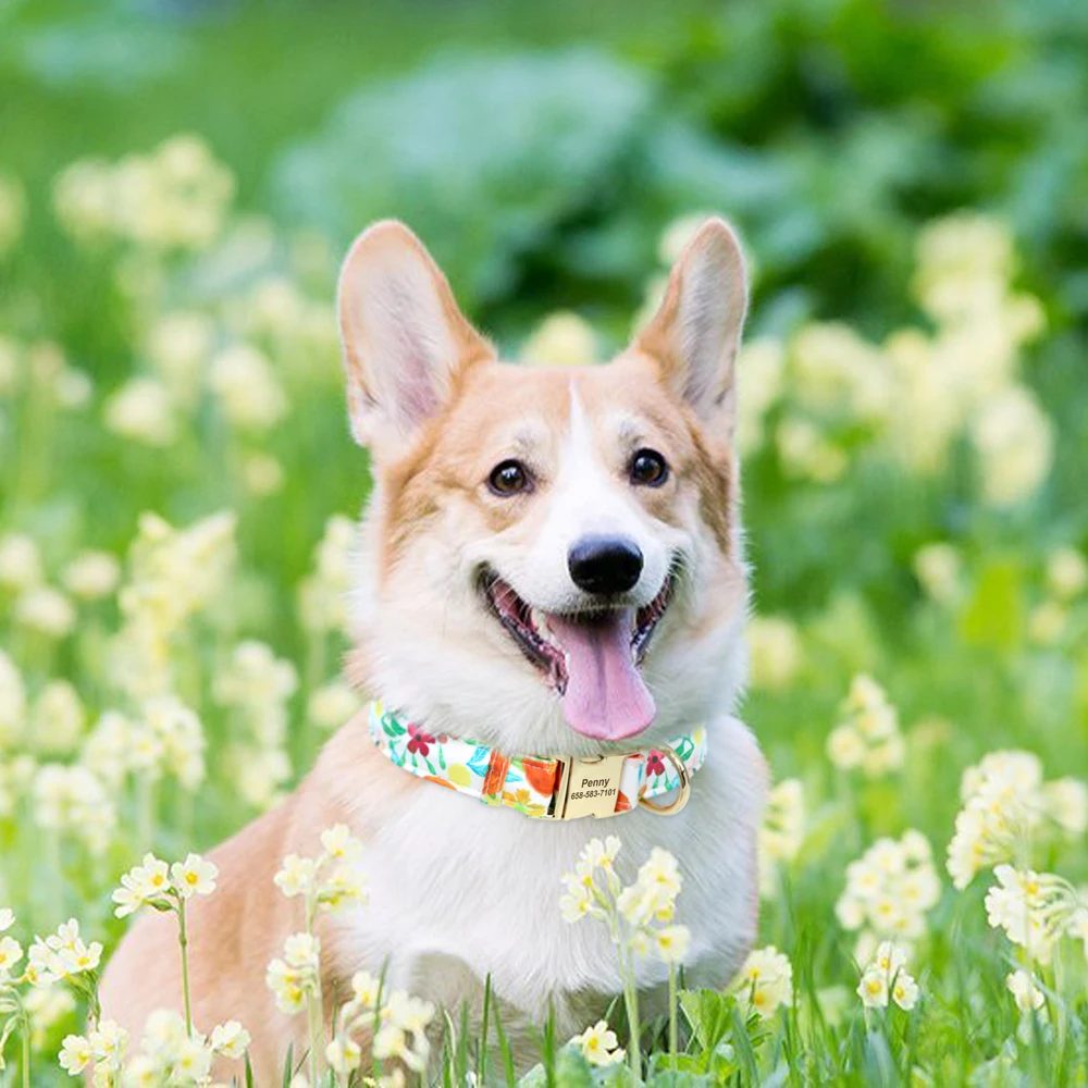 Collier en Nylon imprimé pour chien, personnalisé, identification des animaux de compagnie, gravé gratuitement, réglable pour petits, moyens et