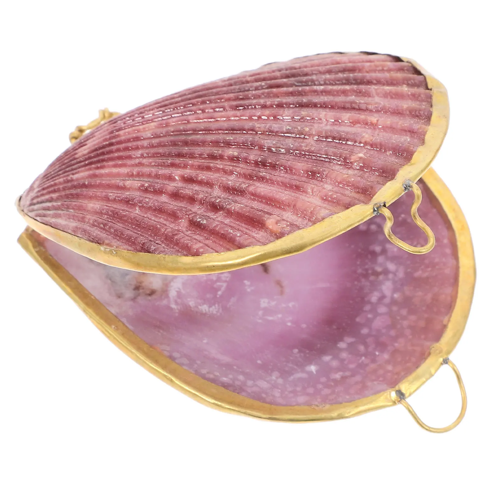 صندوق تخزين مجوهرات صغير على شكل صدف، حامل أقراط على شكل حلقة صغيرة، صندوق هدايا أنيق، علبة حلية مزخرفة لعرض المجوهرات