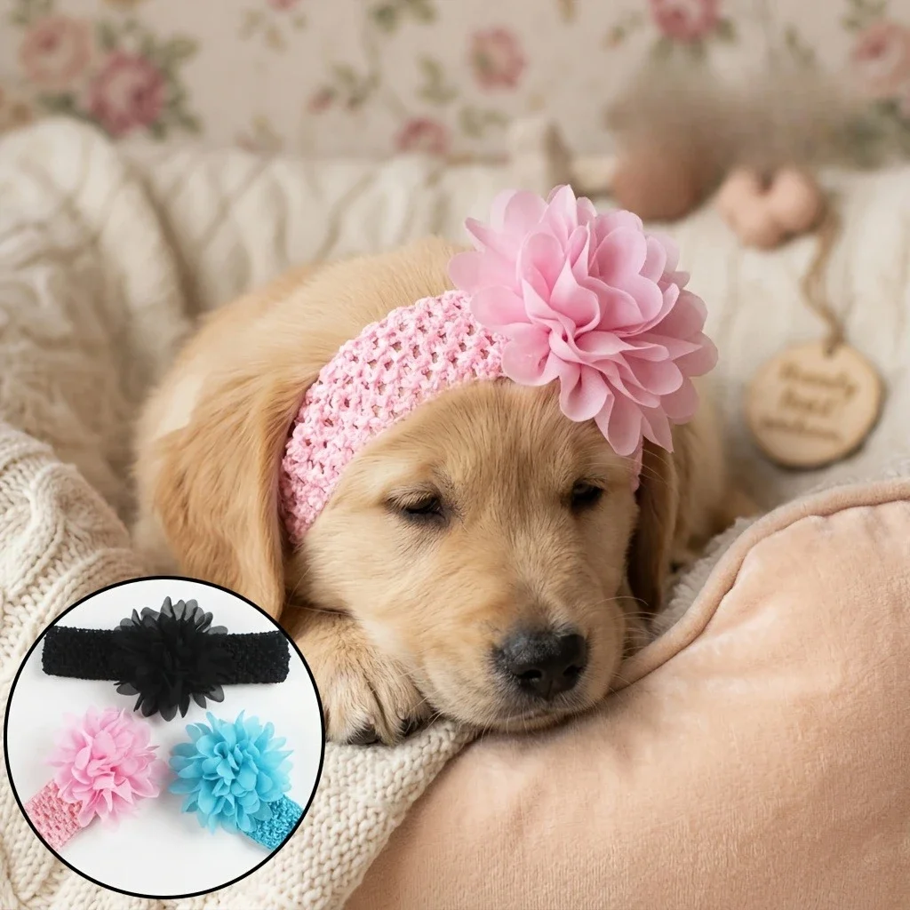 1Pc Cute Hollow Flower Pet Headband, Trendy European & American Style Pointed Floral Hair Accessory for Dogs & Cats