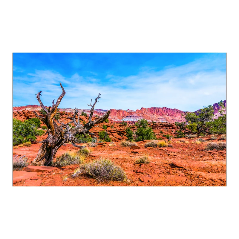 Desert Landscape Aquarium Vinyl Sticker Background Poster HD Rock Stone Self Adhesive Fish Tank Wallpaper 3d Background