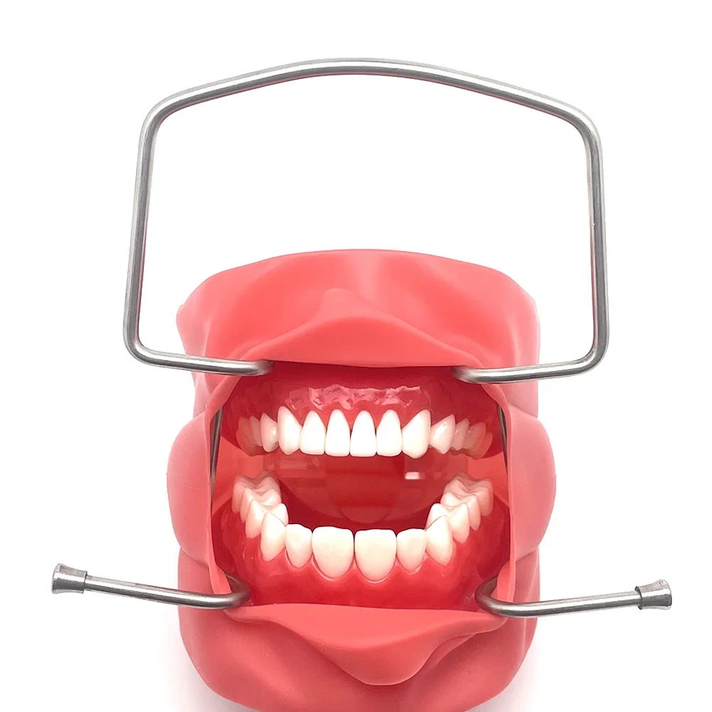 

Stainless Steel tool Dental Retractor Mouths Openers Lip Retractor Intraoral Cheek Dental oral hygiene Products