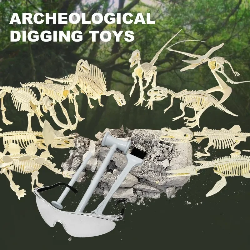 Dinosaur Fossil Tyrannosaurus Rex Skeleton Assembly Model Children's Handmade DIY Production Excavation Gypsum Toy