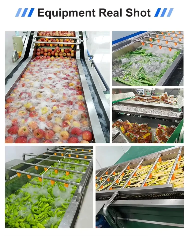 Energy Saving Bubble Washing Machine Food Grade Ozone Fruit and Vegetable Cleaning Equipment for Food Processing Factory