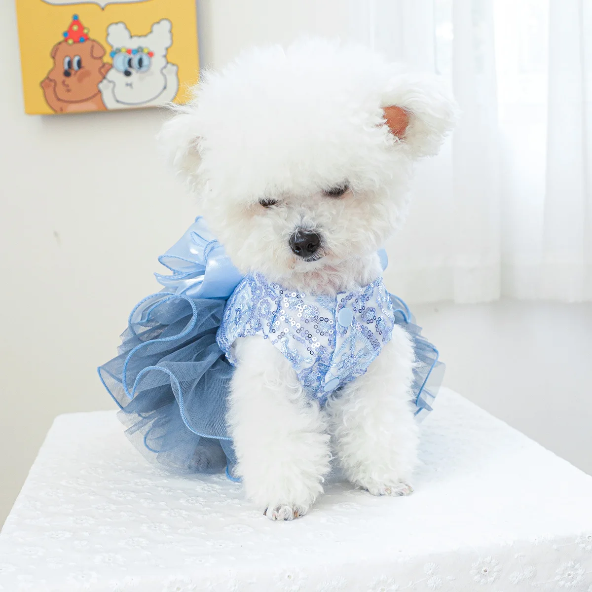 1PC Pet Clothing Spring and Autumn Blue Star River Wedding Dress Princess Dress Suitable for Small and Medium sized Dogs