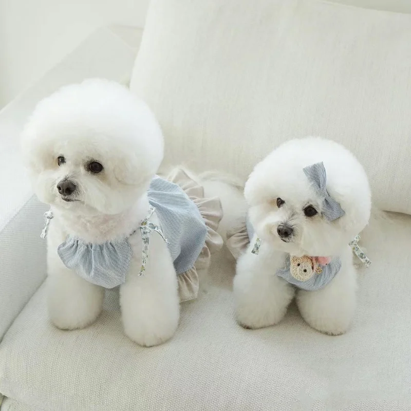 Pet Dog Clothes Teddy Bear Print Dress for Dogs Clothing Cat Small Floral Suspender Skirt Cute Thin Summer Girl Blue Chihuahua