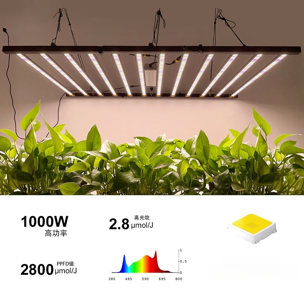 Plant growth lamps used in tents to promote indoor plant growth Hemp growth