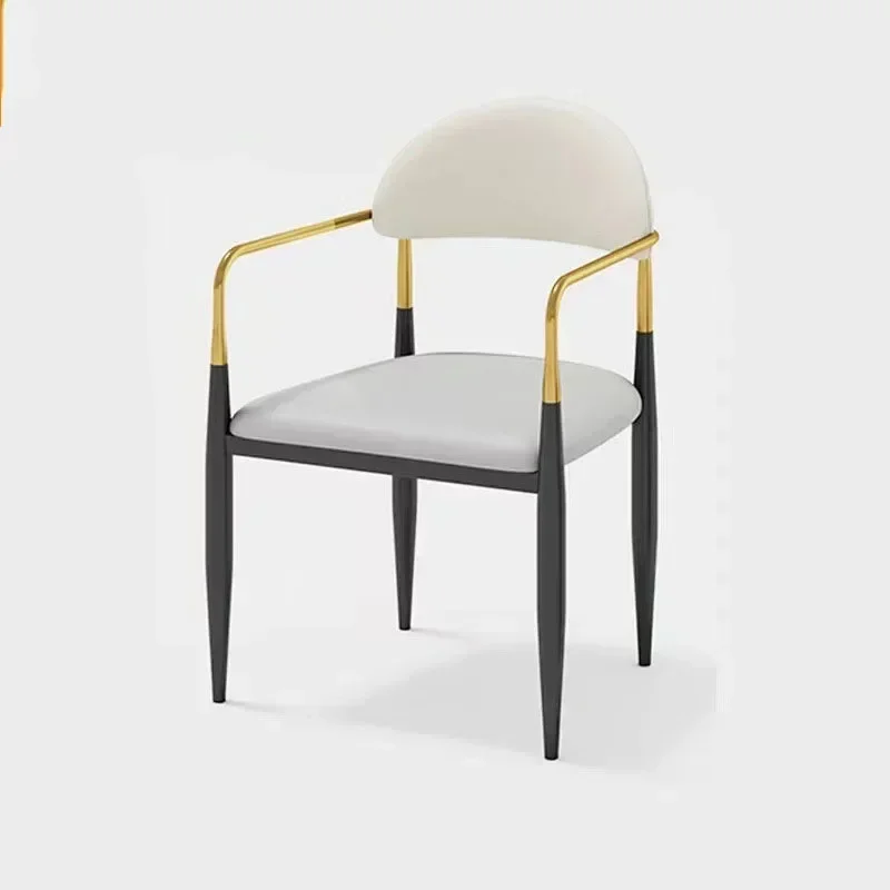 Chairs Living Room Chair Chaises Salon A Manger Dining Rooms Furnitures Kitchen Furniture Sedie Sala Cadeira Kissen Transparent