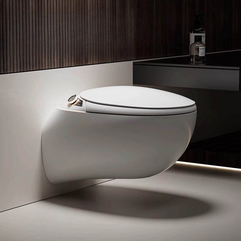 

Wall-mounted egg-shaped automatic embedded K6 smart toilet wall row hidden foam shield aromatherapy toilet