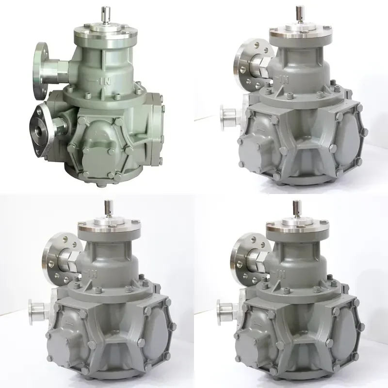 Customizable OEM LPGFM2 Flow Meter Stainless Steel Industrial Flow Meter for Fuel and by LPG