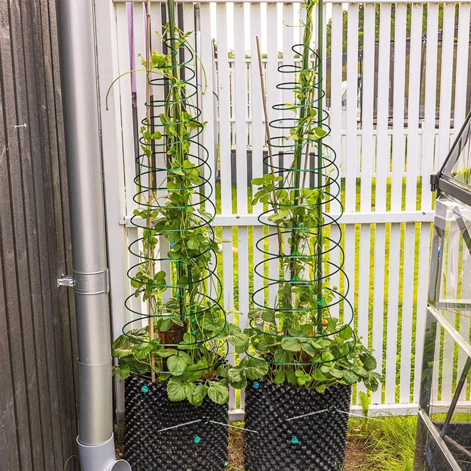 Trellis for Climbing Plants Easy to Set up with Poles Plant Support Green Bean Trellis Spiral Frame for Indoor Outdoor Cucumber