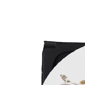 

4pcs Laptop Rubber Feet for V310-14 V310-15 Bottom Shell Foot Pad 17.18mm