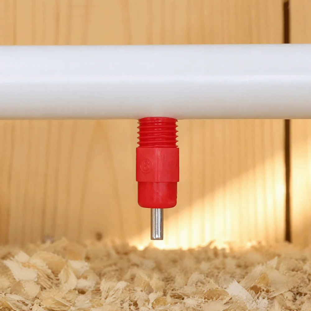 40pcs Stainless Steel Automatic Chicken Water Drinker Plastic Red Poultry Waterer Easy Installation Drinking Nipple Large Scale