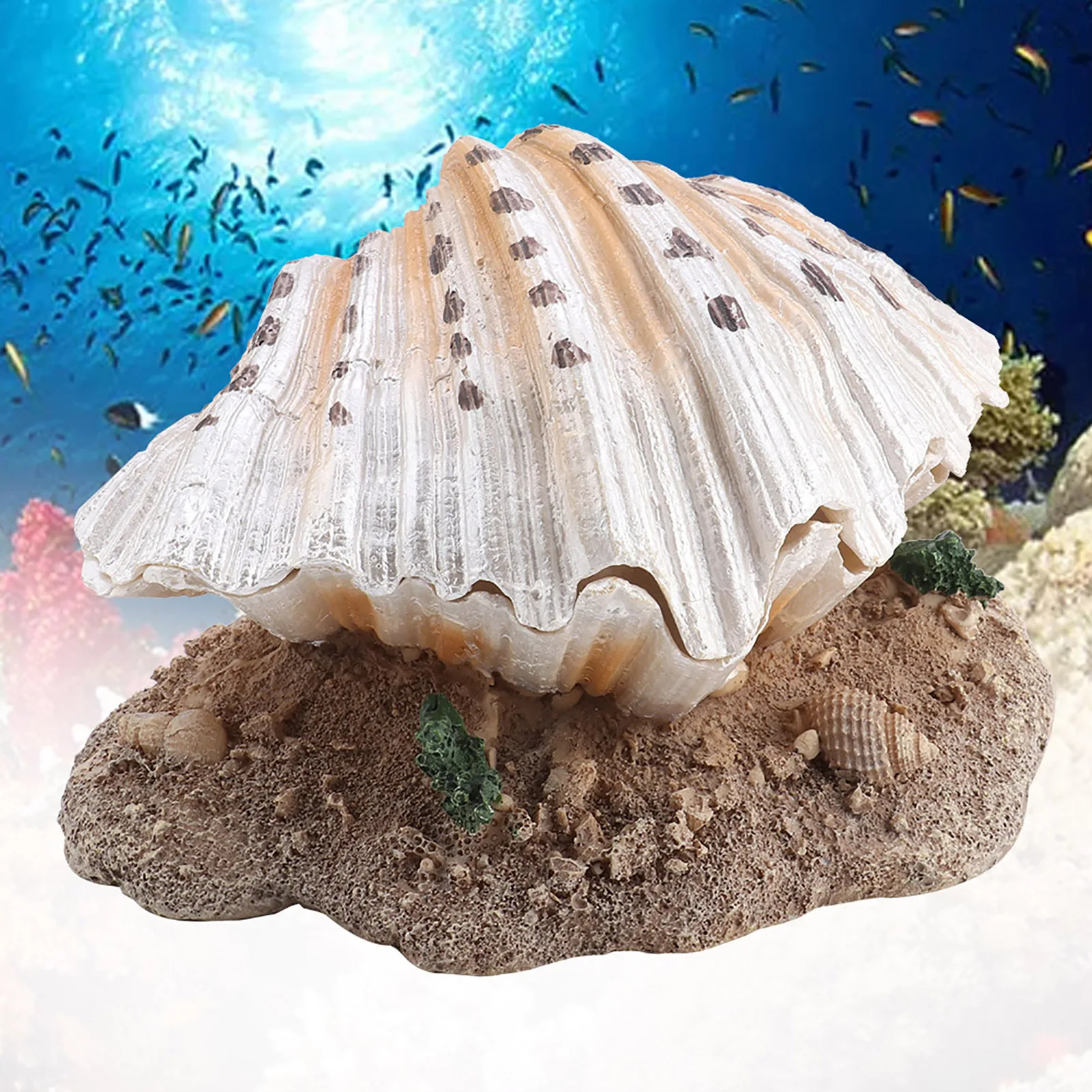 Aquarium Decoration Coral  Aerating Action Ornament Fish  Shell Pearl Bubbler Decor Fish  Shell Decor