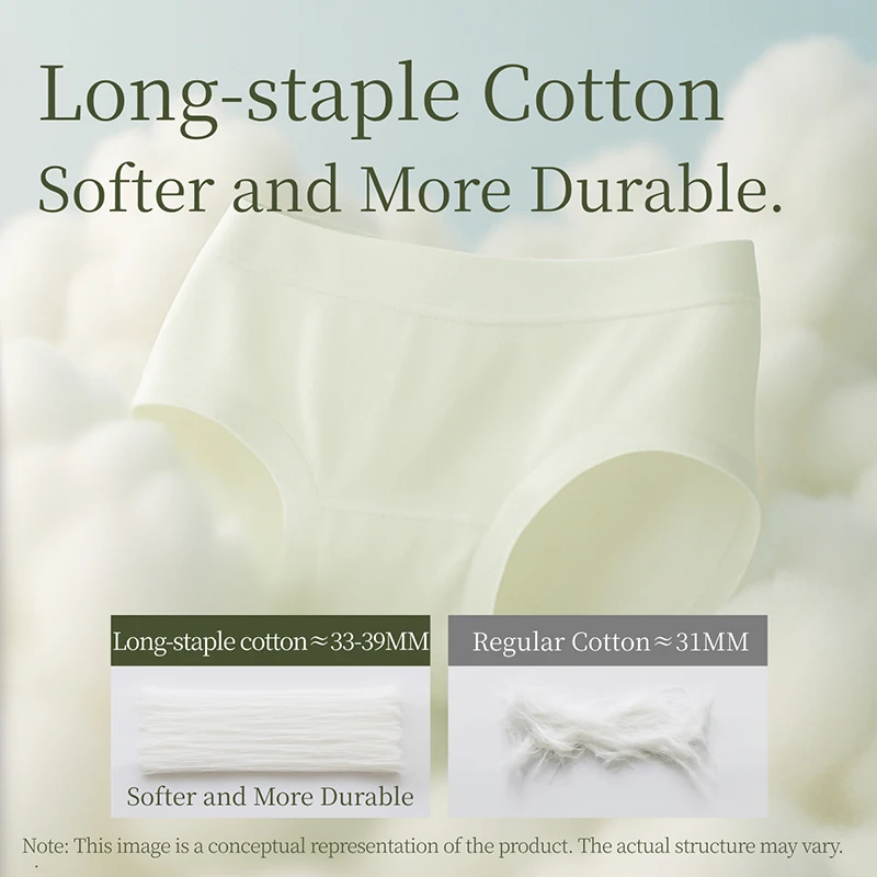 SUJIIN 3Pcs/Lot Seamless Cotton Crotch Panties Women 2025 Mid Waist Invisibles Brief 10A Antibacterial Breathable Underwear N229