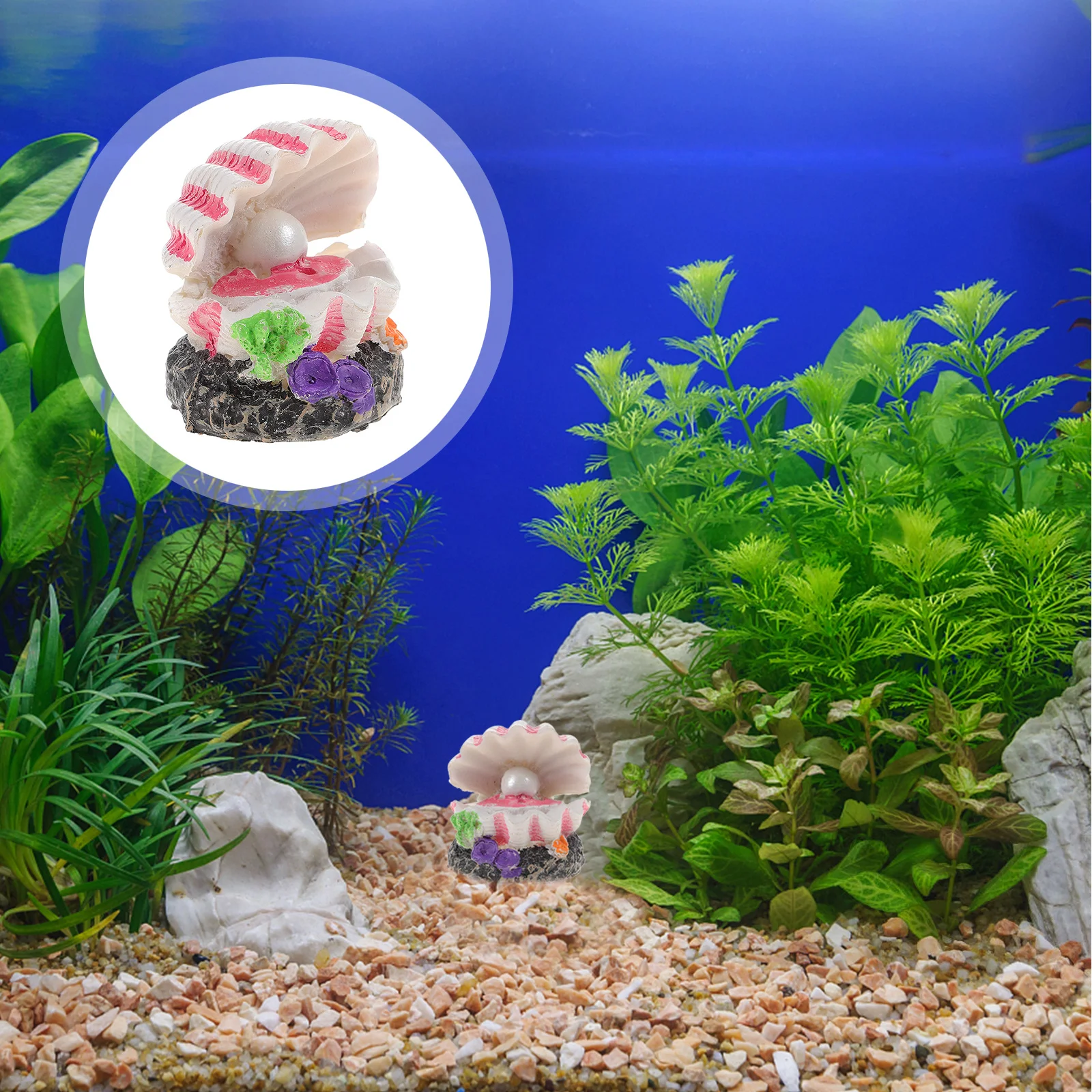 

1Pcs Durable Resin Aquarium Bubble Stone Sea Shell Shape Air Bubble Ornament Fish Tank Decoration Natural Scenery
