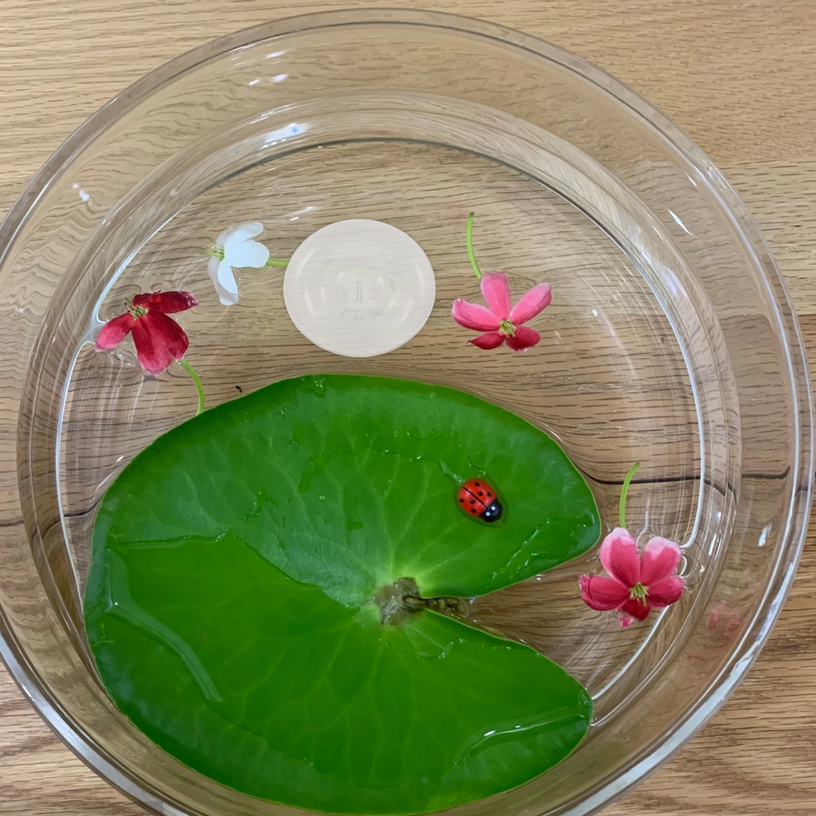 

6Pcs Hydroponic Floating Flower Holder Clear Floral Arrangement Insert for Water Garden Pond Plant Display DIY Flower Fixation