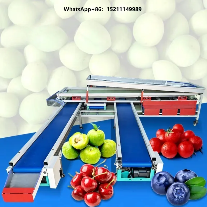 Citrus Orange Sort Machine Onion Avocado Olive Mandarin Grader and Size Sort Machine for Sale