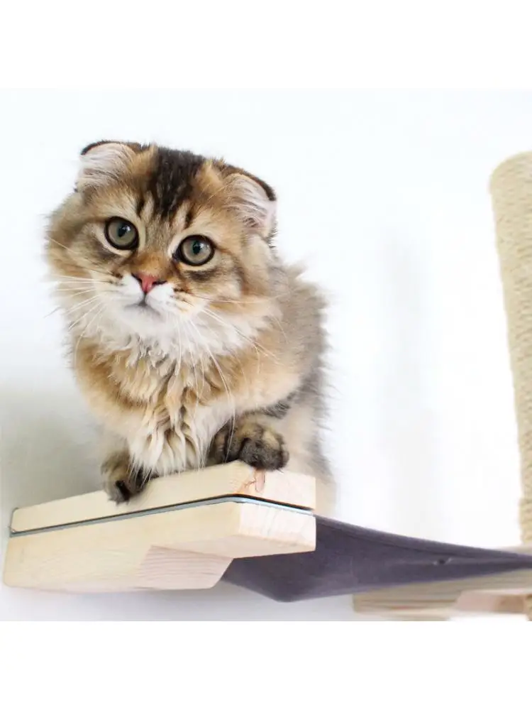 Imagem -03 - Móveis para Animais de Estimação Cama de Rede de Gato Montado na Parede Aconchegante Quadro de Escalada de Madeira Gato Plataforma Casa Torre Brinquedo Parede Gato Árvore