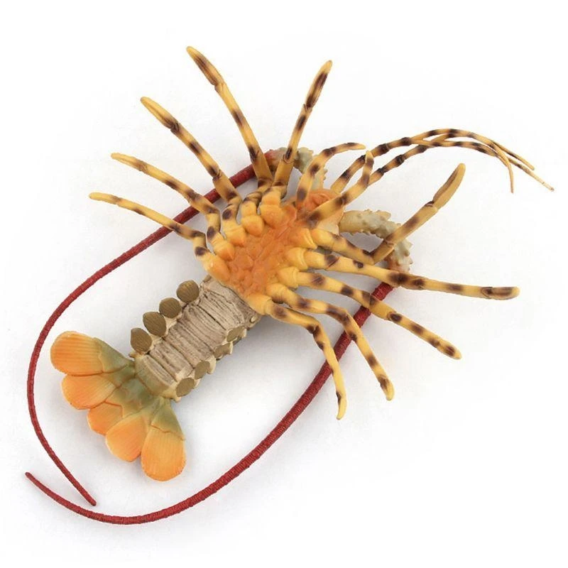 Realistic Lobster Mini Figurine Marine Animal Model for Children Hobby Collector 15UB