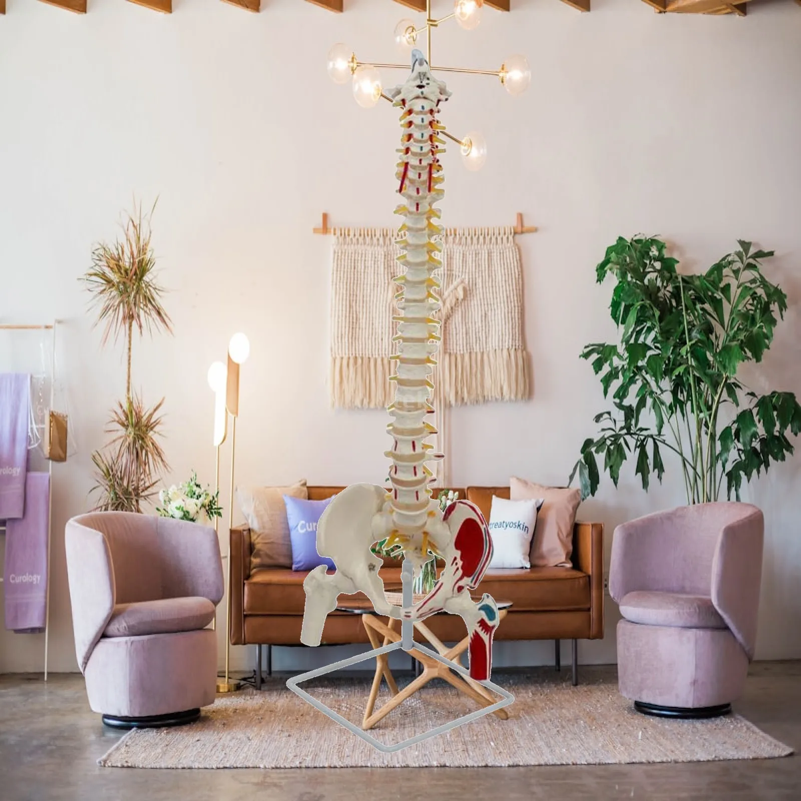 Colored Human Spine Model with Pelvis Flexible PVC Scientific Anatomy Vertebrae Nerves Arteries for Educational Research Study