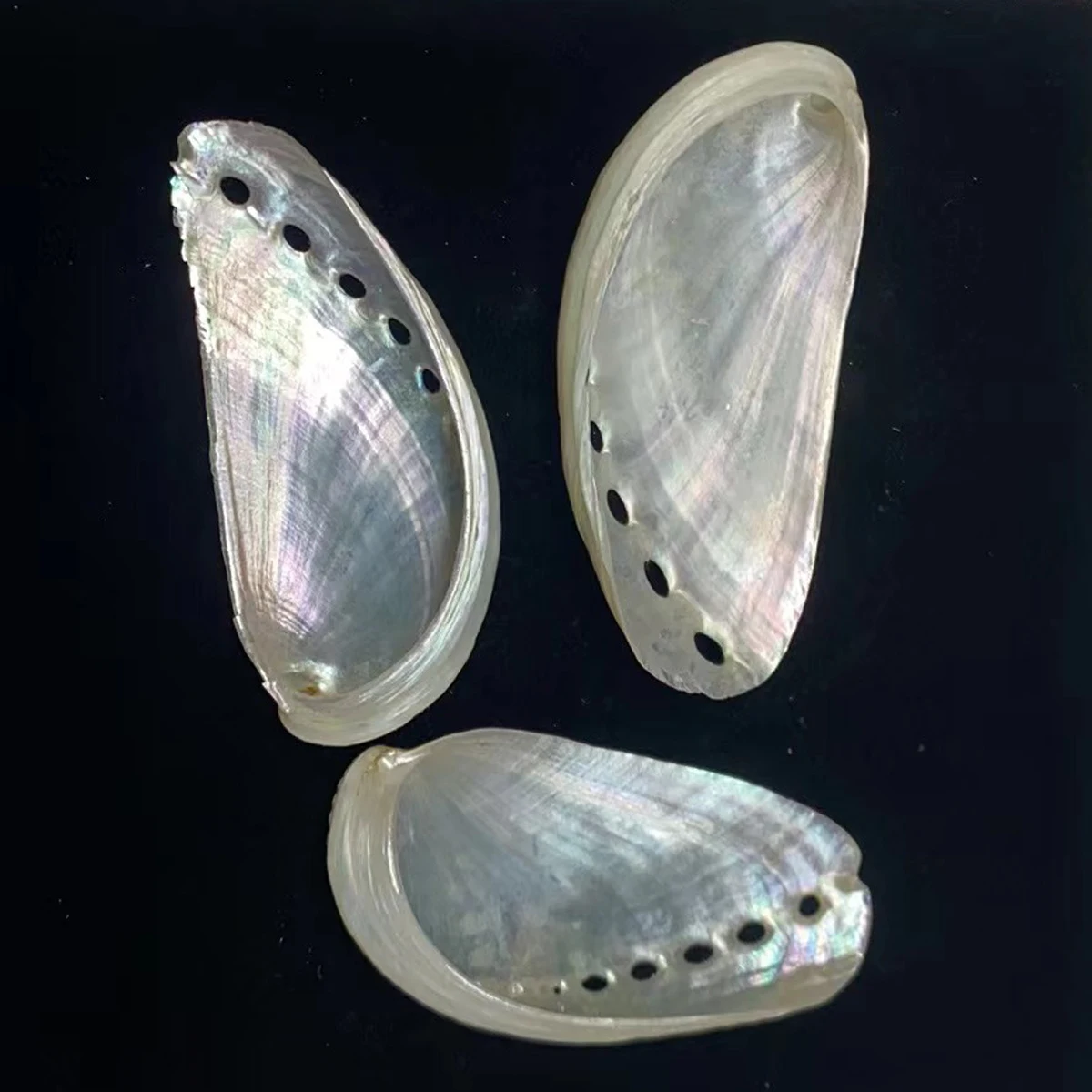 10pcs Natural Freshwater Shell Beads Pendant 40-64mm White Abalone Shell Charms for Jewelry Making DIY Necklace Earrings Supply - view 3