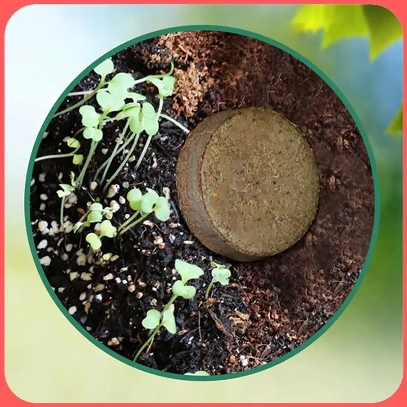 

A76I-Premium Organic Potting Natural Soil Mix Food And Organic Coconut Coir Concentrate Seed Starting Mix