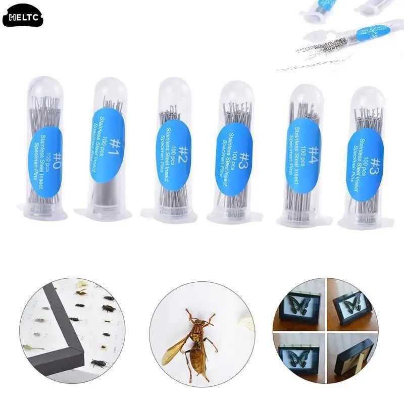 

100Pcs/pack Insect Pins Specimen Needle Stainless Steel School Lab Entomology Needle With Tube Insect Obsvering Tool Set