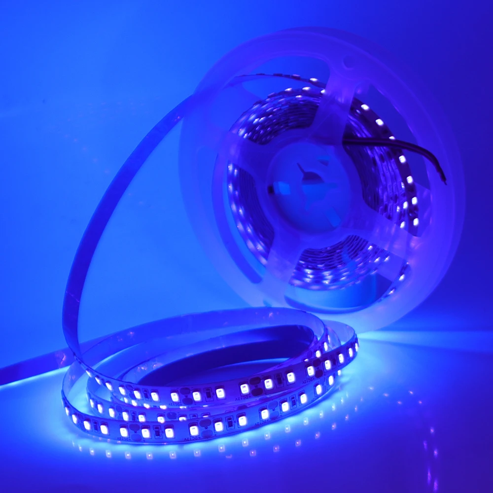 12V 24V 5m 10m 20m 50m 100m LED Strip Light 2835 120 LEDs Flexible Tape Bright 8mm PCB 13 Colors Home Decoration Not Waterproof