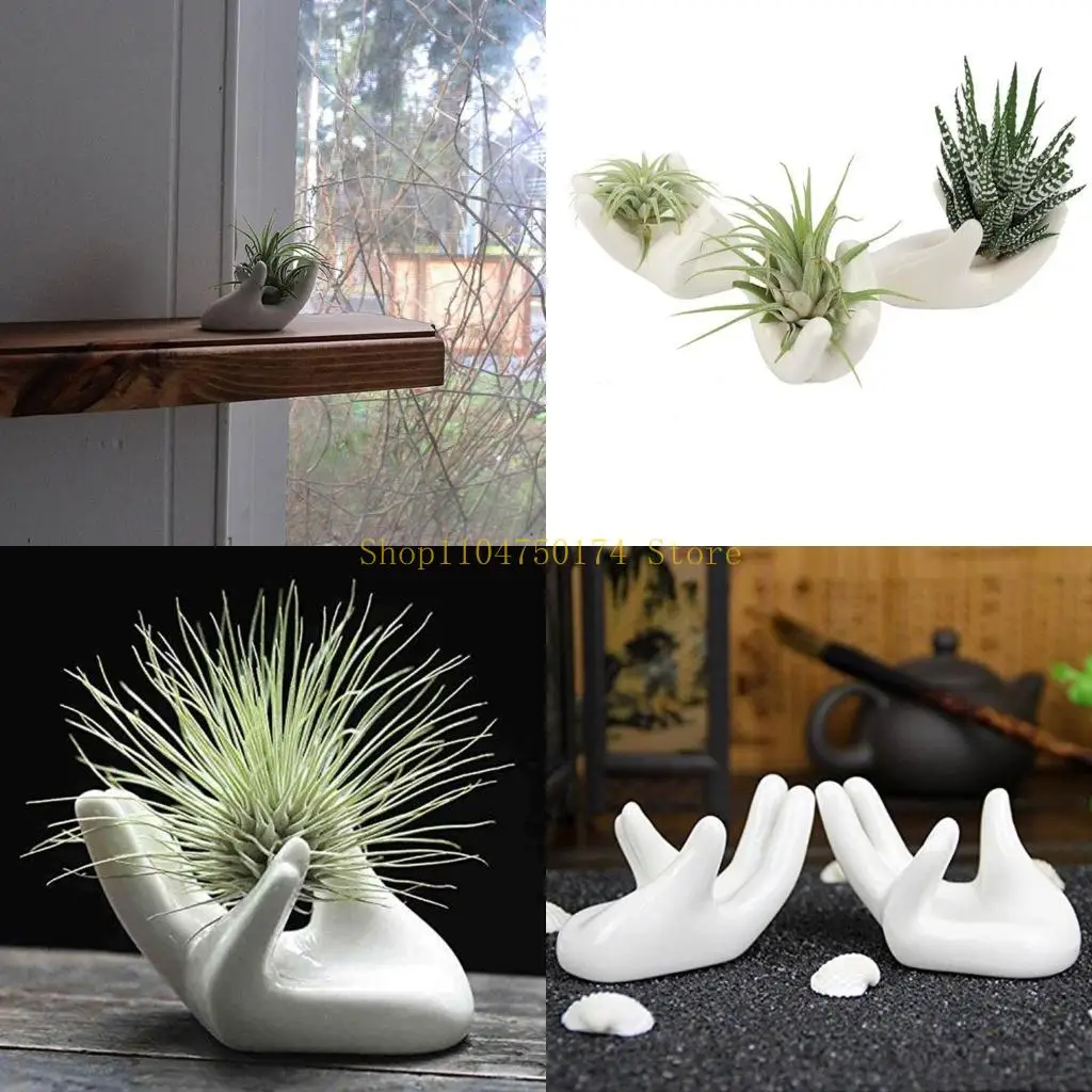 3Pcs Air Plant Holder Ceramics Airplants Plant Tillandsia Pots Hand Small Container Office Desk Decorations top sale