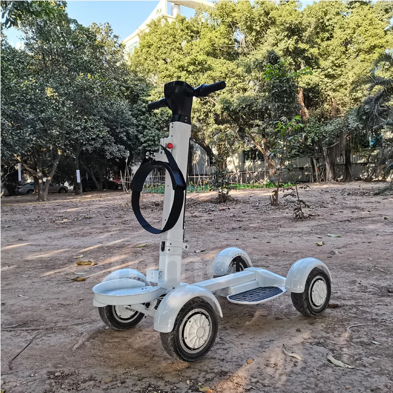 

2000W Powerful Adult Golf Cart Electric Scooter 4 Wheel Off Road Mini Foldable All Terrain Dual Motor Mobility Scooter Removable