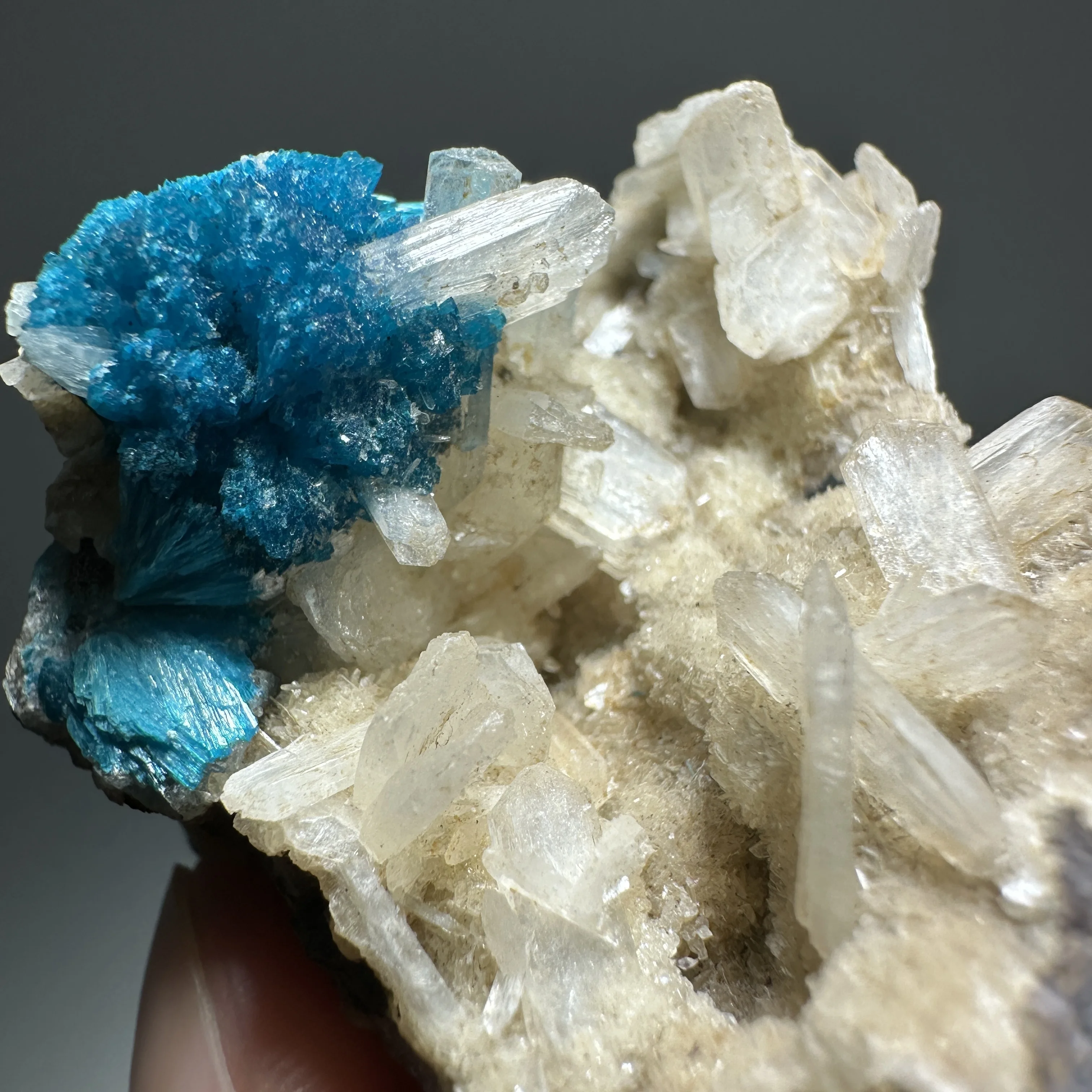 Natural Blue Cavansite Cluster Mineral Specimen Quartz Crystal Symbiosis Rare Healing Crystal Home Decoration Collection Gift