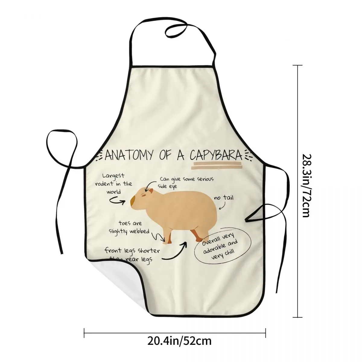 Anatomy Of A Capybara Apron Chef Cooking Baking Tablier Waterproof Bib Kitchen Cleaning Pinafore for Women Men Gardening