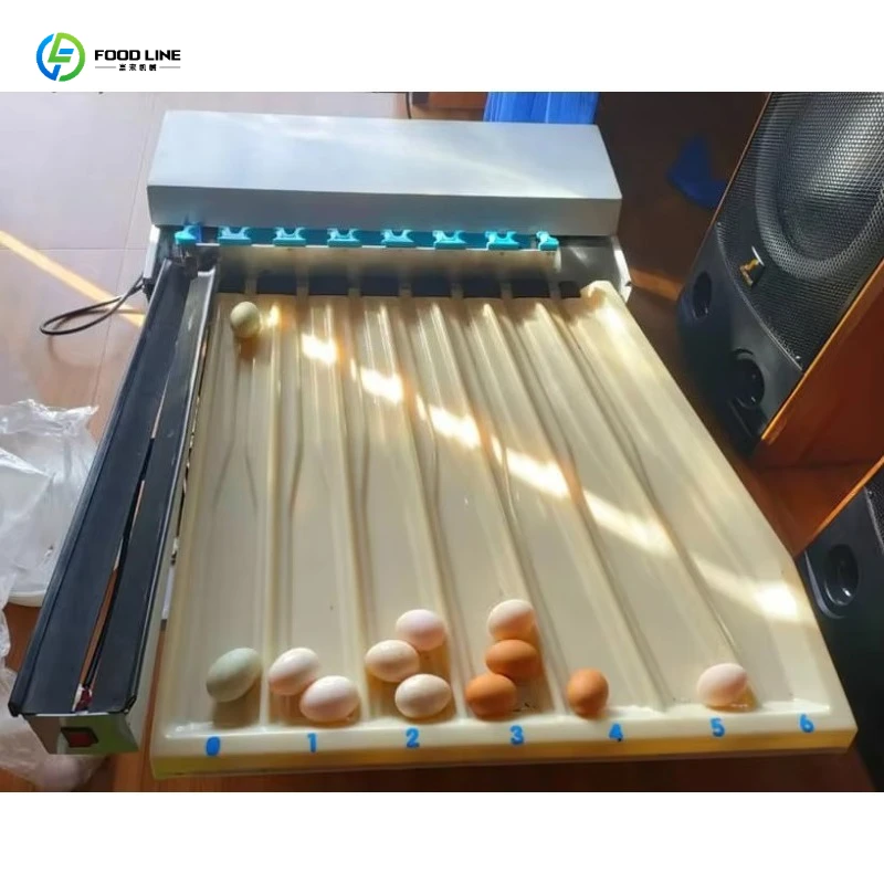 Egg Grading Machine 1800 2000 Eggs/Hour Compact Classifying Sizer for Small Chicken Duck Farm