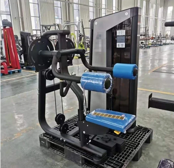 

zz Fitness Commercial Use Gym Equipment Lateral Raise Machine For Sale