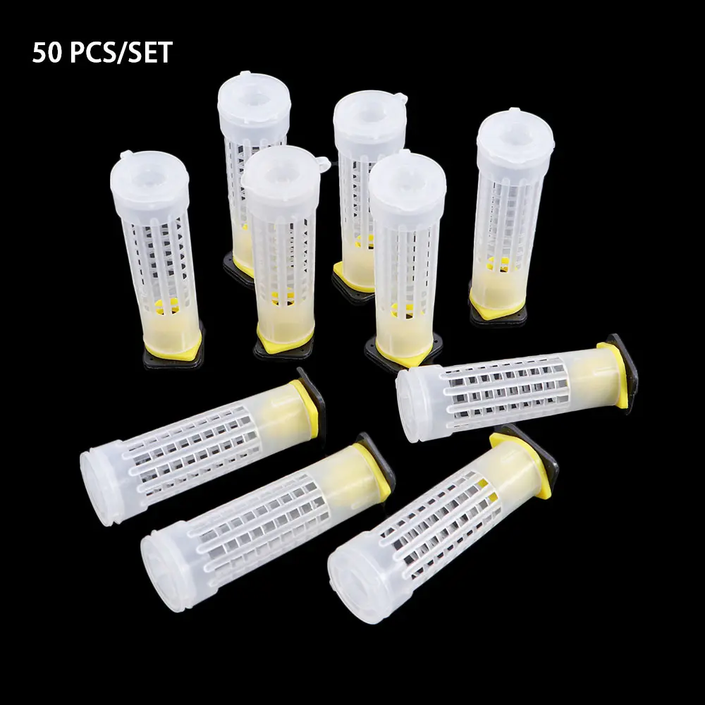 

Plastic Beekeeping Tool Cell Cup King Bee Equipment Bees Rearing Rearing Cup Protective Cover Bee Queen Cage