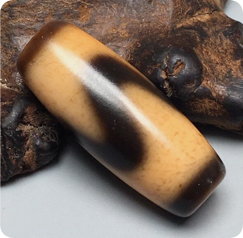 Rare Tibetan Old Oily Agate dZi Tiger Tooth Bead Pendant