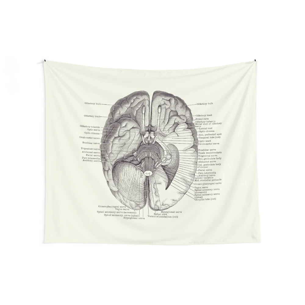 Brain Nervous System Diagram - Vintage Anatomy 2 Tapestry Decoration For Bedroom Wallpaper Bedroom Tapestry