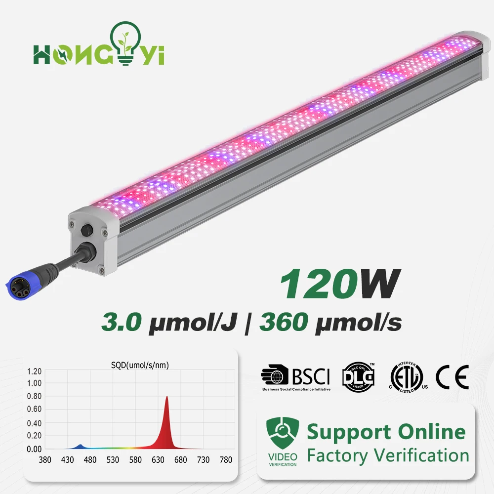 Hongyi Hot Sell 120 Watt Daisy-Chain Under Canopy LED Double Sided Grow Light