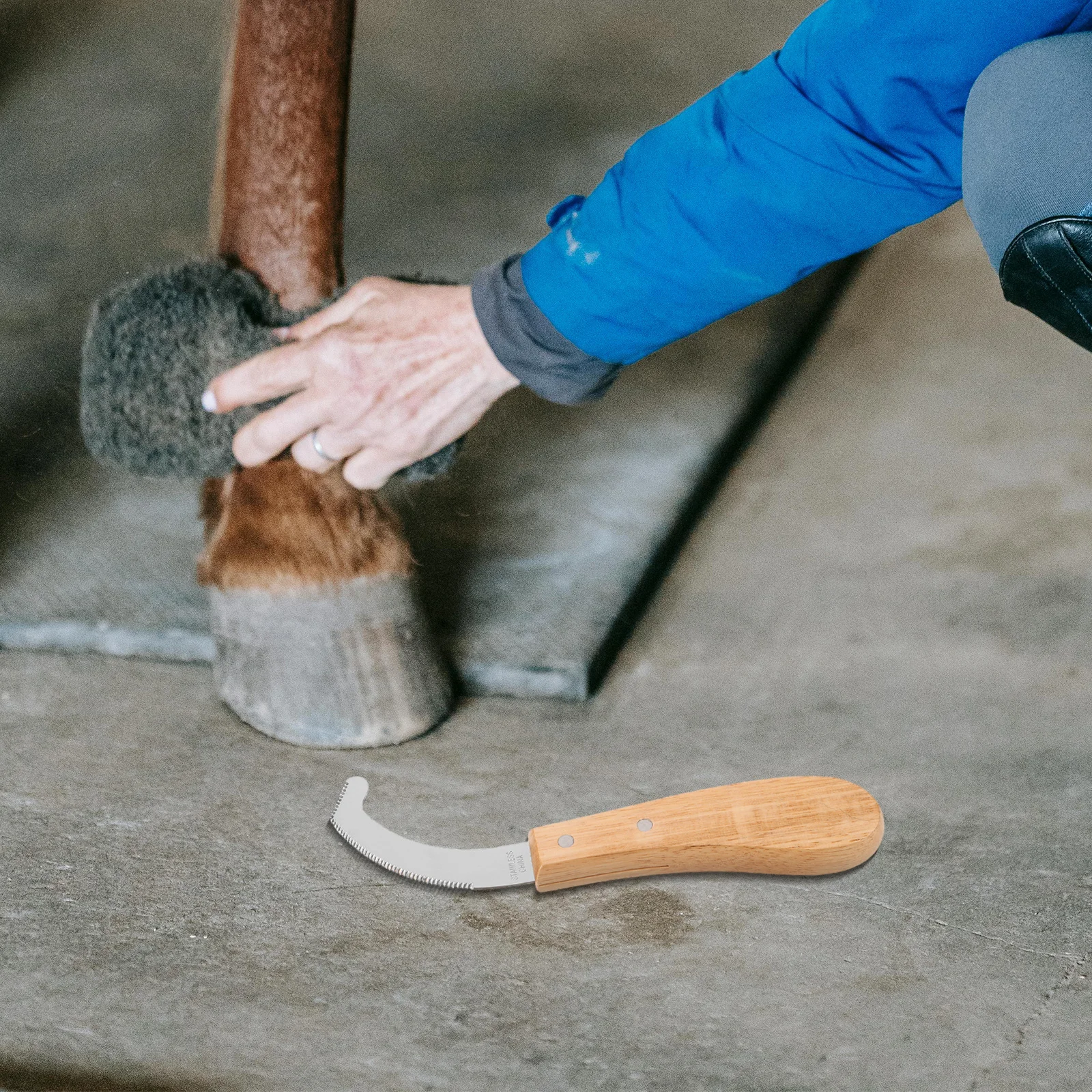 أداة تهذيب البيض من الفولاذ المقاوم للصدأ لإزالة بيض الذبابة، مكشطة متينة لإزالة بيض الذبابة #5