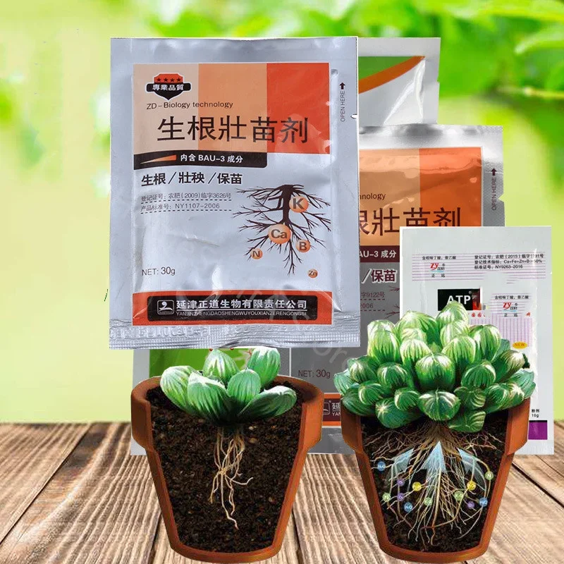 Rapid Powder Plant Growth Regulator Plant Flower Transplant Fertilizer Hormone Root Vigor Seed Germination Improve Survival 30g