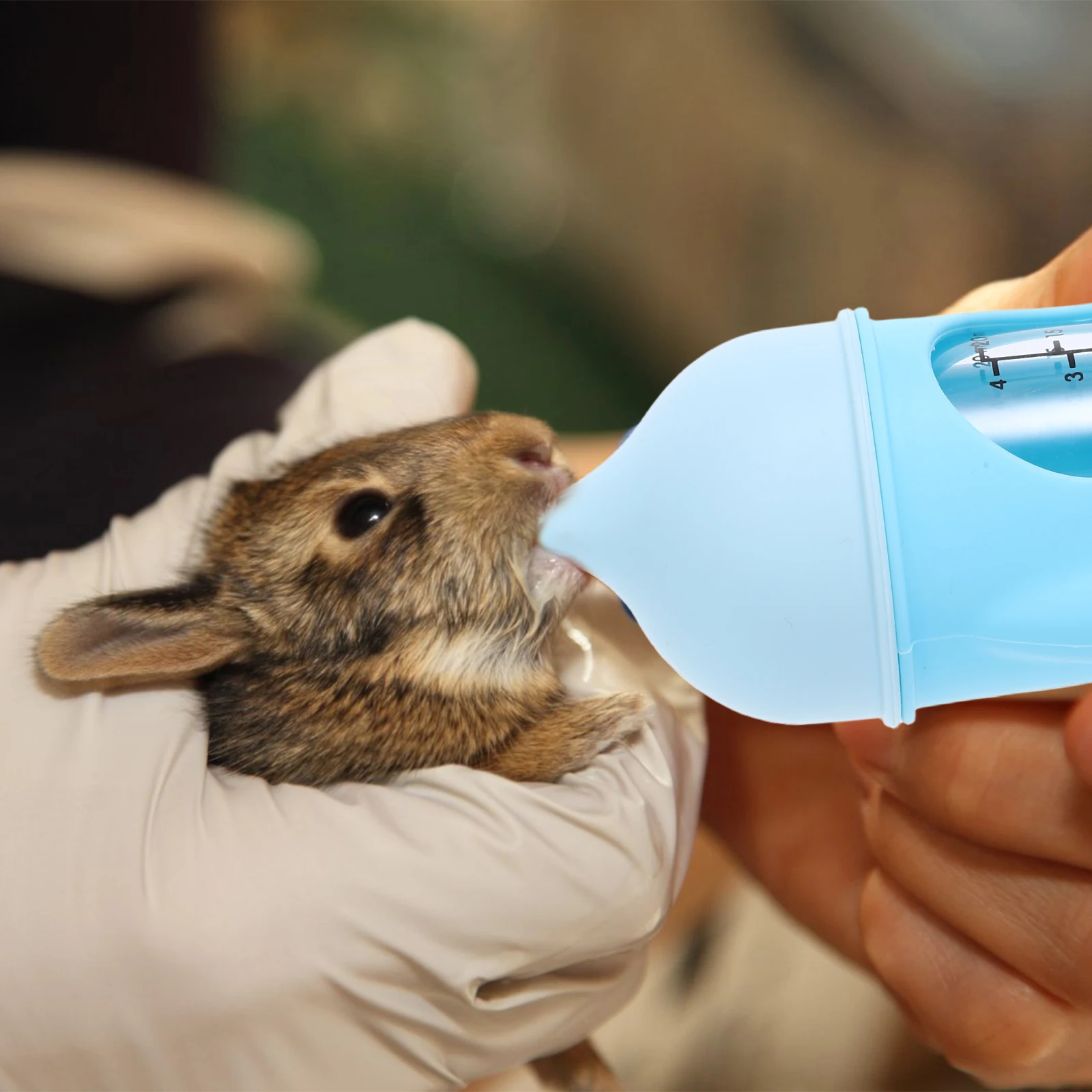 

Pet Bottle Kitten Bottles for Nursing Newborn Breastfeeding Device Cat Milk Feeder